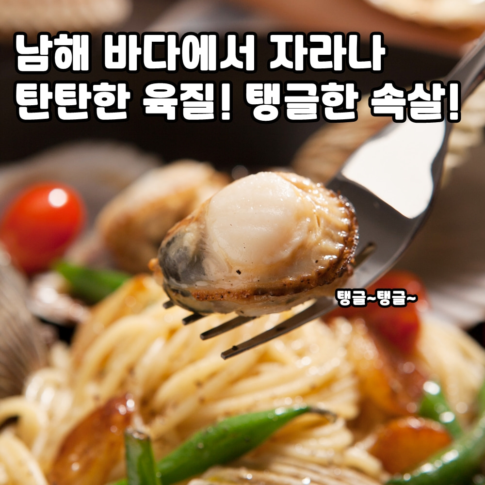 제철 손질 통영가리비 활 홍가리비 1kg (25-35마리)